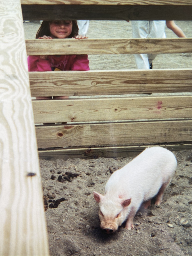 Little Laura looking at a pig